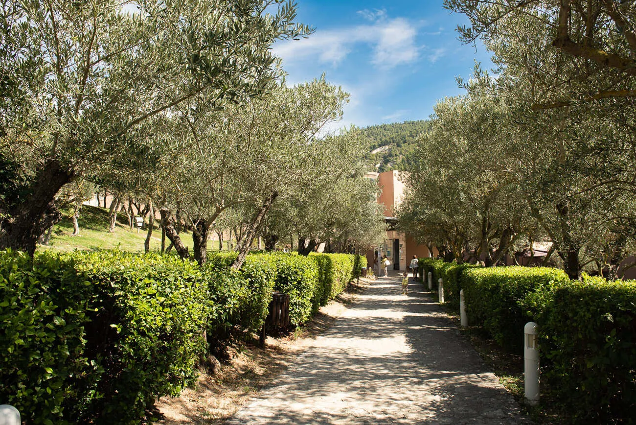 Le Terme di Popoli: Benessere e Natura